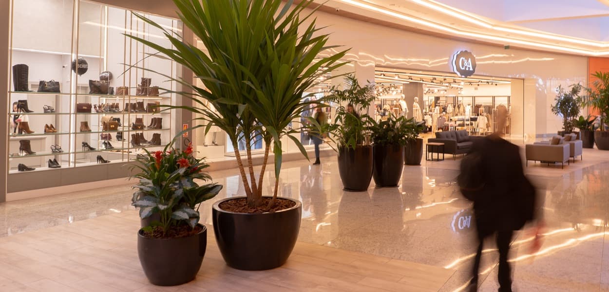 Captação e uso consciente da água